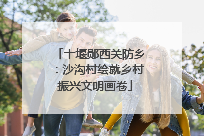 十堰郧西关防乡：沙沟村绘就乡村振兴文明画卷