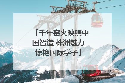 千年窑火映照中国智造 株洲魅力惊艳国际学子