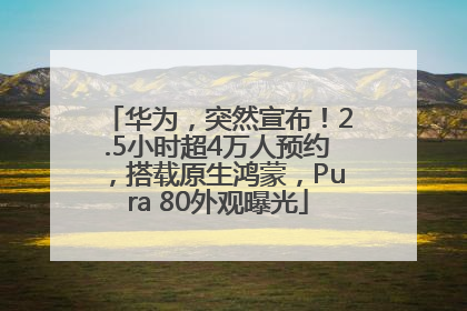 华为，突然宣布！2.5小时超4万人预约，搭载原生鸿蒙，Pura 80外观曝光