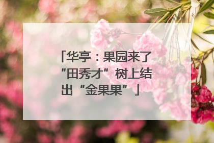 华亭：果园来了“田秀才”树上结出“金果果”