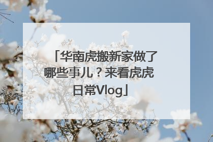 华南虎搬新家做了哪些事儿？来看虎虎日常Vlog