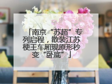 南京“苏超”专列启程，散装江苏梗王车厢现原形秒变“卧底”