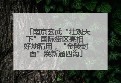 南京玄武“壮观天下”国际街区亮相 好地精用，“金陵封面”焕新通四海