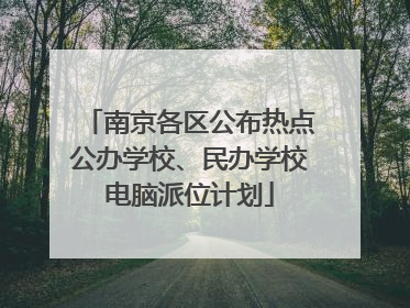 南京各区公布热点公办学校、民办学校电脑派位计划
