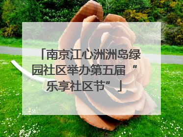 南京江心洲洲岛绿园社区举办第五届“乐享社区节”