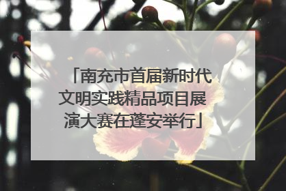 南充市首届新时代文明实践精品项目展演大赛在蓬安举行