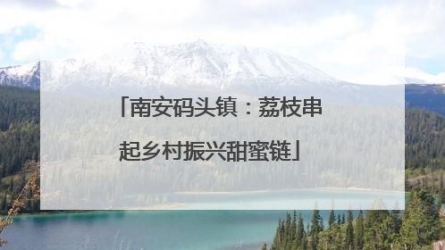 南安码头镇：荔枝串起乡村振兴甜蜜链