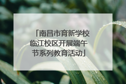 南昌市育新学校临江校区开展端午节系列教育活动