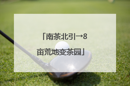 南茶北引→8亩荒地变茶园
