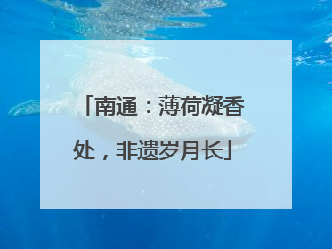 南通：薄荷凝香处，非遗岁月长