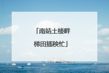 南靖土楼畔 梯田插秧忙