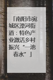 南阳市宛城区溧河街道：特色产业激活乡村振兴“一池春水”