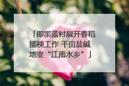 即墨蓝村展开春稻插秧工作 千亩盐碱地变“江南水乡”