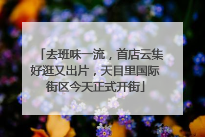 去班味一流，首店云集好逛又出片，天目里国际街区今天正式开街