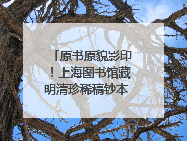 原书原貌影印！上海图书馆藏明清珍稀稿钞本整理出版