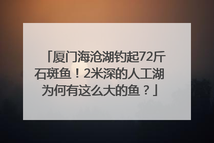 厦门海沧湖钓起72斤石斑鱼！2米深的人工湖为何有这么大的鱼？
