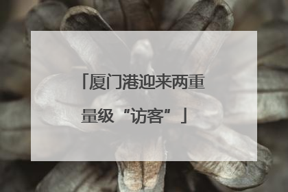 厦门港迎来两重量级“访客”