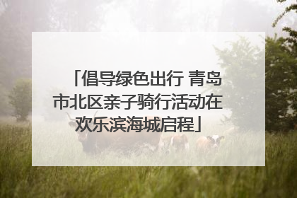 倡导绿色出行 青岛市北区亲子骑行活动在欢乐滨海城启程