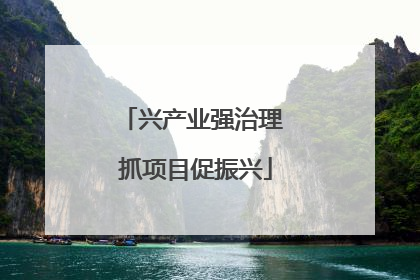 兴产业强治理 抓项目促振兴