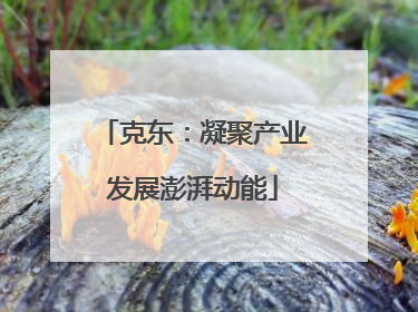 克东：凝聚产业发展澎湃动能