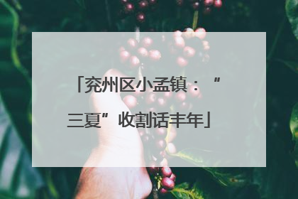 兖州区小孟镇：“三夏”收割话丰年