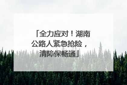 全力应对！湖南公路人紧急抢险，清障保畅通