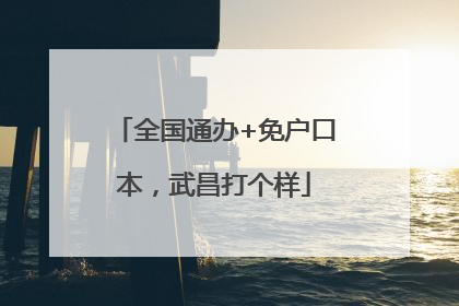 全国通办+免户口本，武昌打个样