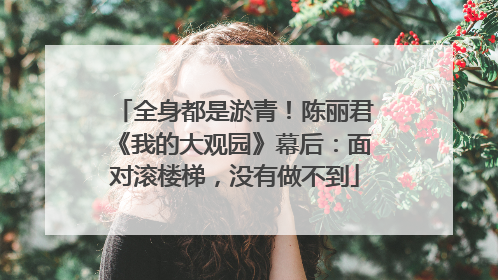 全身都是淤青！陈丽君《我的大观园》幕后：面对滚楼梯，没有做不到