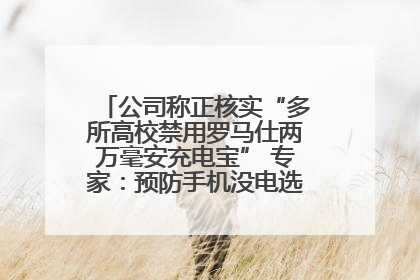 公司称正核实“多所高校禁用罗马仕两万毫安充电宝” 专家：预防手机没电选中等体积产品即可