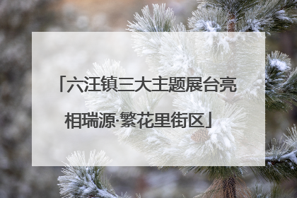 六汪镇三大主题展台亮相瑞源·繁花里街区