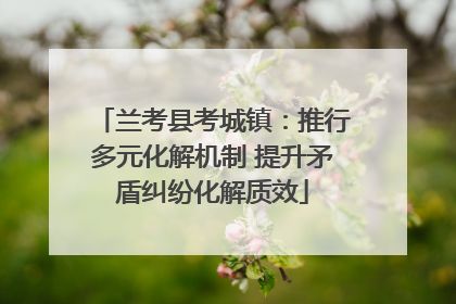 兰考县考城镇：推行多元化解机制 提升矛盾纠纷化解质效