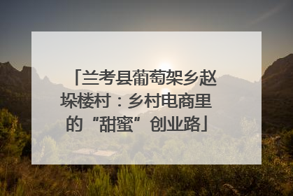 兰考县葡萄架乡赵垛楼村：乡村电商里的“甜蜜”创业路