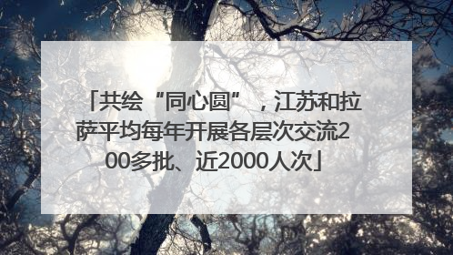 共绘“同心圆”，江苏和拉萨平均每年开展各层次交流200多批、近2000人次