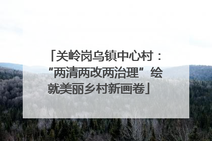 关岭岗乌镇中心村：“两清两改两治理”绘就美丽乡村新画卷