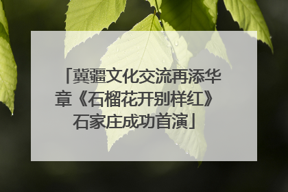 冀疆文化交流再添华章《石榴花开别样红》石家庄成功首演