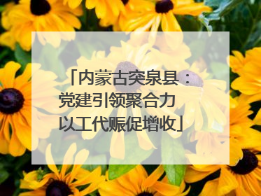 内蒙古突泉县：党建引领聚合力 以工代赈促增收