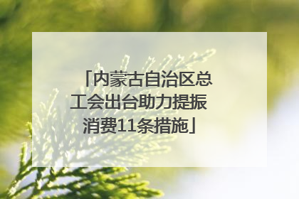 内蒙古自治区总工会出台助力提振消费11条措施