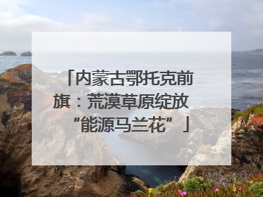 内蒙古鄂托克前旗：荒漠草原绽放“能源马兰花”