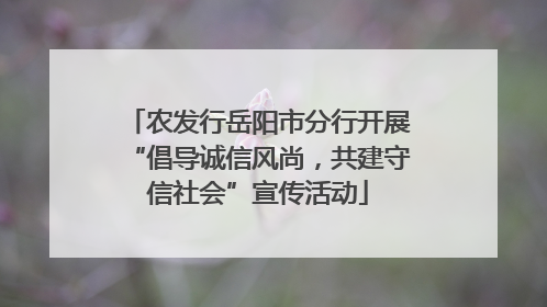 农发行岳阳市分行开展“倡导诚信风尚，共建守信社会”宣传活动