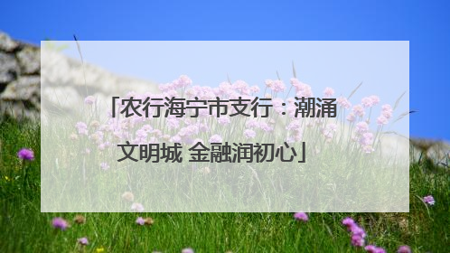 农行海宁市支行：潮涌文明城 金融润初心