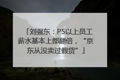 刘强东：P5以上员工薪水基本上都翻倍，“京东从没卖过假货”