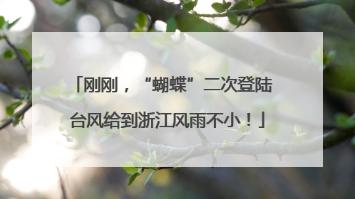 刚刚，“蝴蝶”二次登陆 台风给到浙江风雨不小！