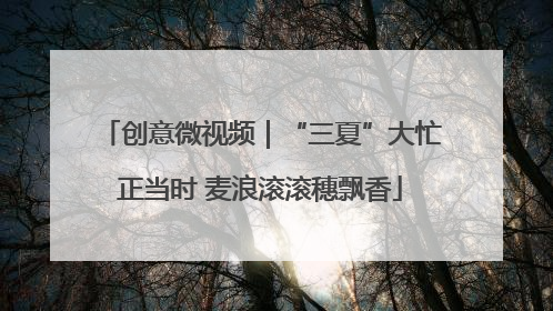 创意微视频｜“三夏”大忙正当时 麦浪滚滚穗飘香