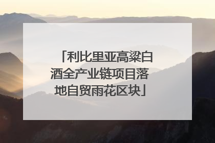 利比里亚高粱白酒全产业链项目落地自贸雨花区块