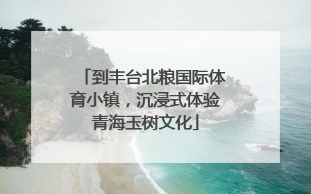 到丰台北粮国际体育小镇，沉浸式体验青海玉树文化