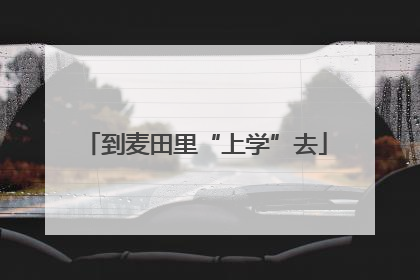 到麦田里“上学”去