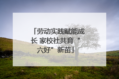 劳动实践赋能成长 家校社共育“六好”新苗