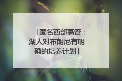 匿名西部高管：湖人对布朗尼有明确的培养计划