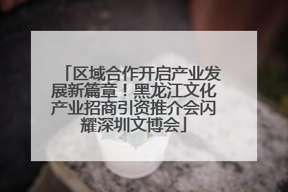 区域合作开启产业发展新篇章！黑龙江文化产业招商引资推介会闪耀深圳文博会