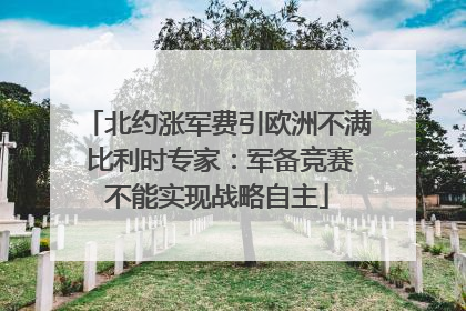 北约涨军费引欧洲不满 比利时专家：军备竞赛不能实现战略自主